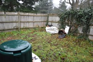 Photo 3- click for photo gallery